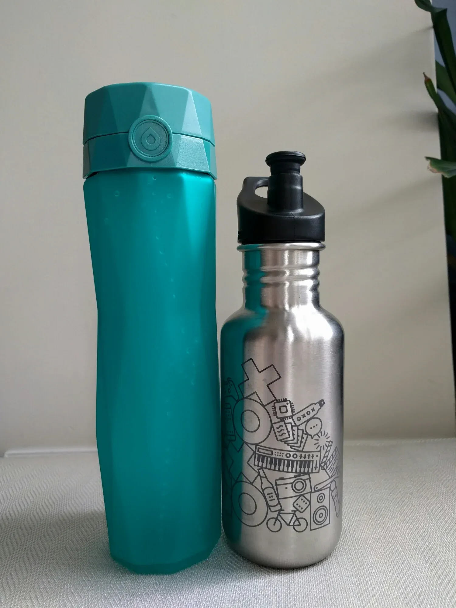 My go-to water bottle (kleen kanteen) for additional scale.