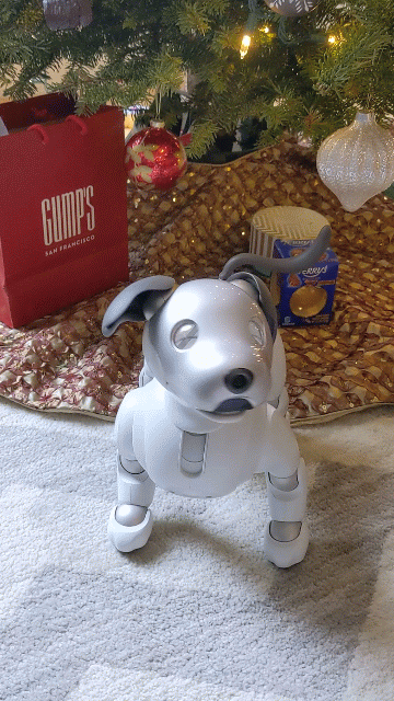 Our sony aibo dancing